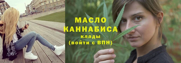 крисы Ельня