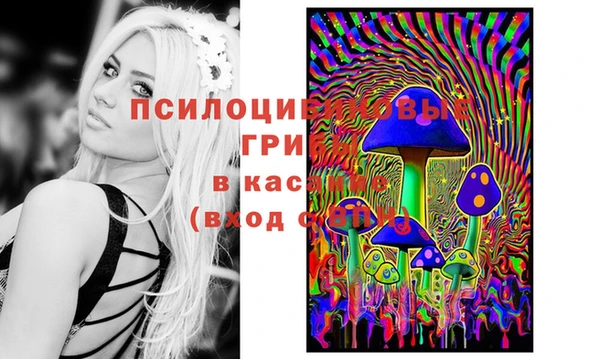 apvp Елабуга