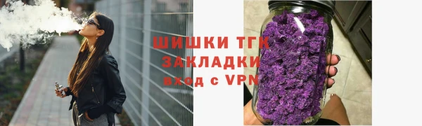 крисы Ельня