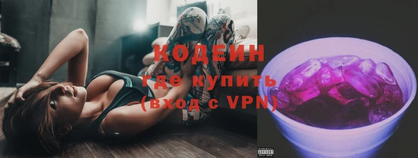 крисы Ельня