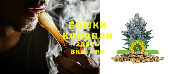 крисы Ельня