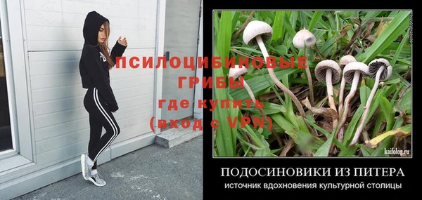 apvp Елабуга