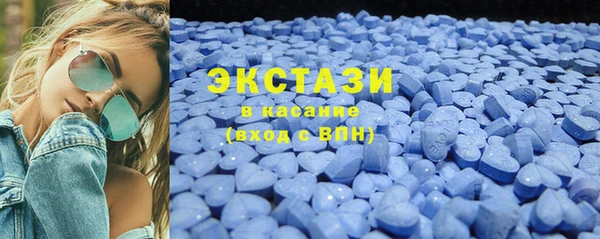 крисы Ельня