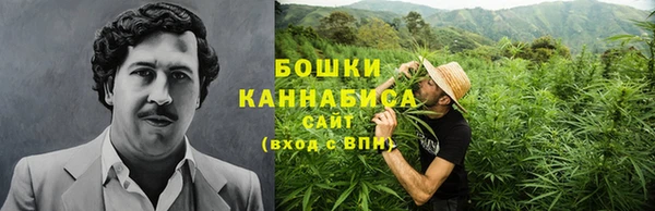 крисы Ельня